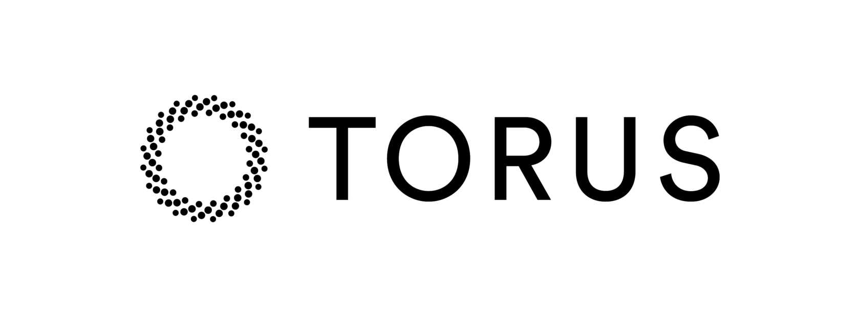 The image shows the word "TORUS" in black capital letters, with a circular dotted pattern to the left of the text on a light gray background.